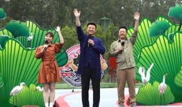 五胎宝妈爆料视频大全最新,育儿路上的酸甜苦辣，揭秘育儿视频背后的真实故事